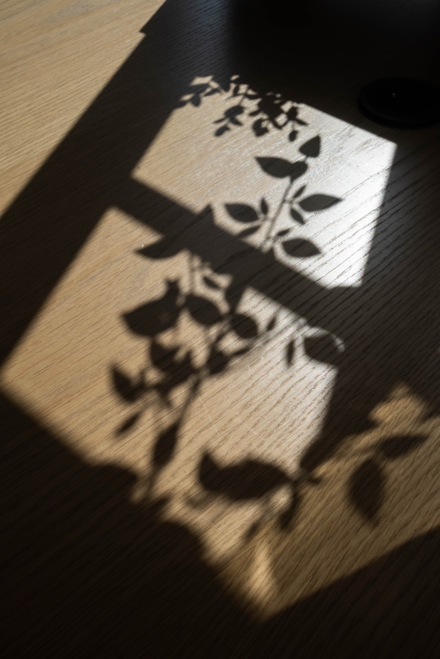 Détail lumière et ambiance générale du Vigean